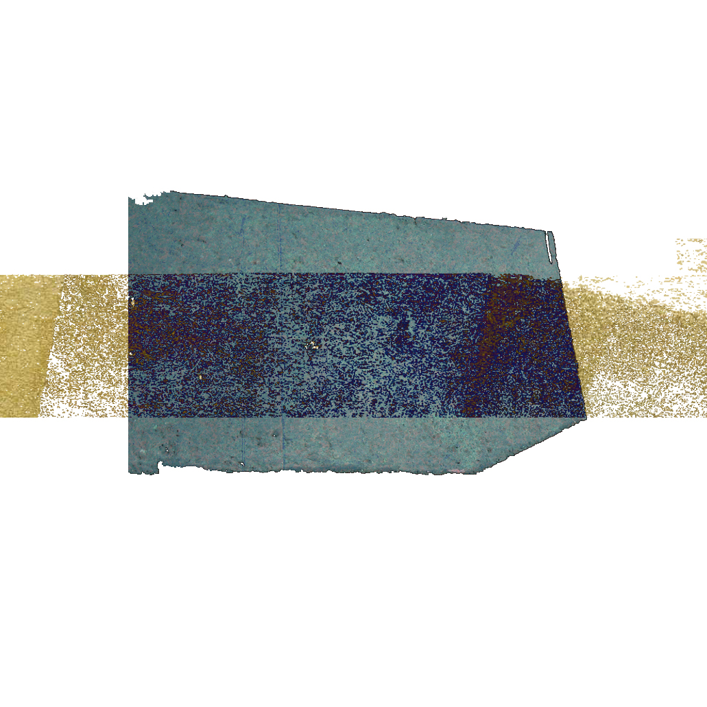 Blue&gold